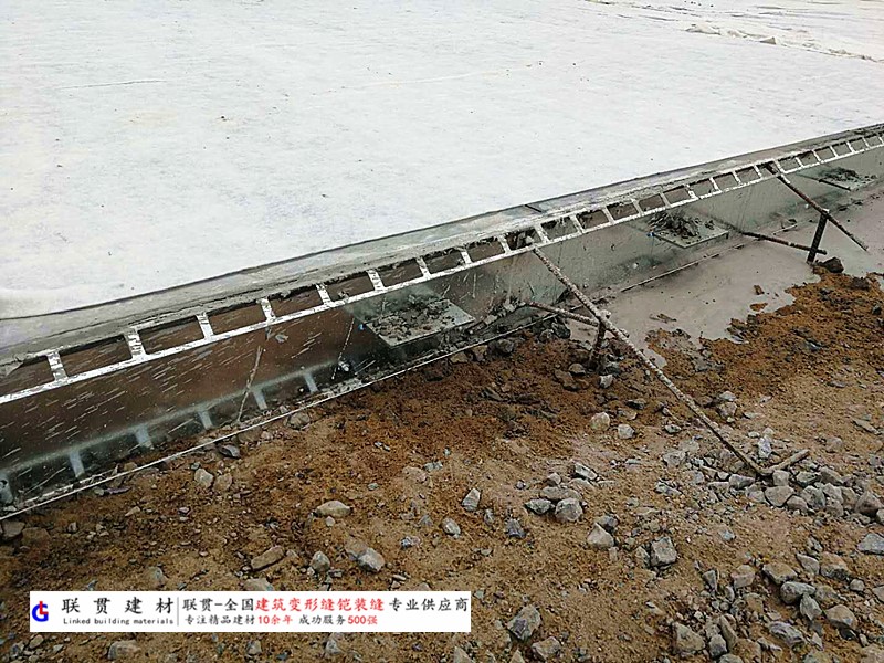 德阳市铠装缝案例